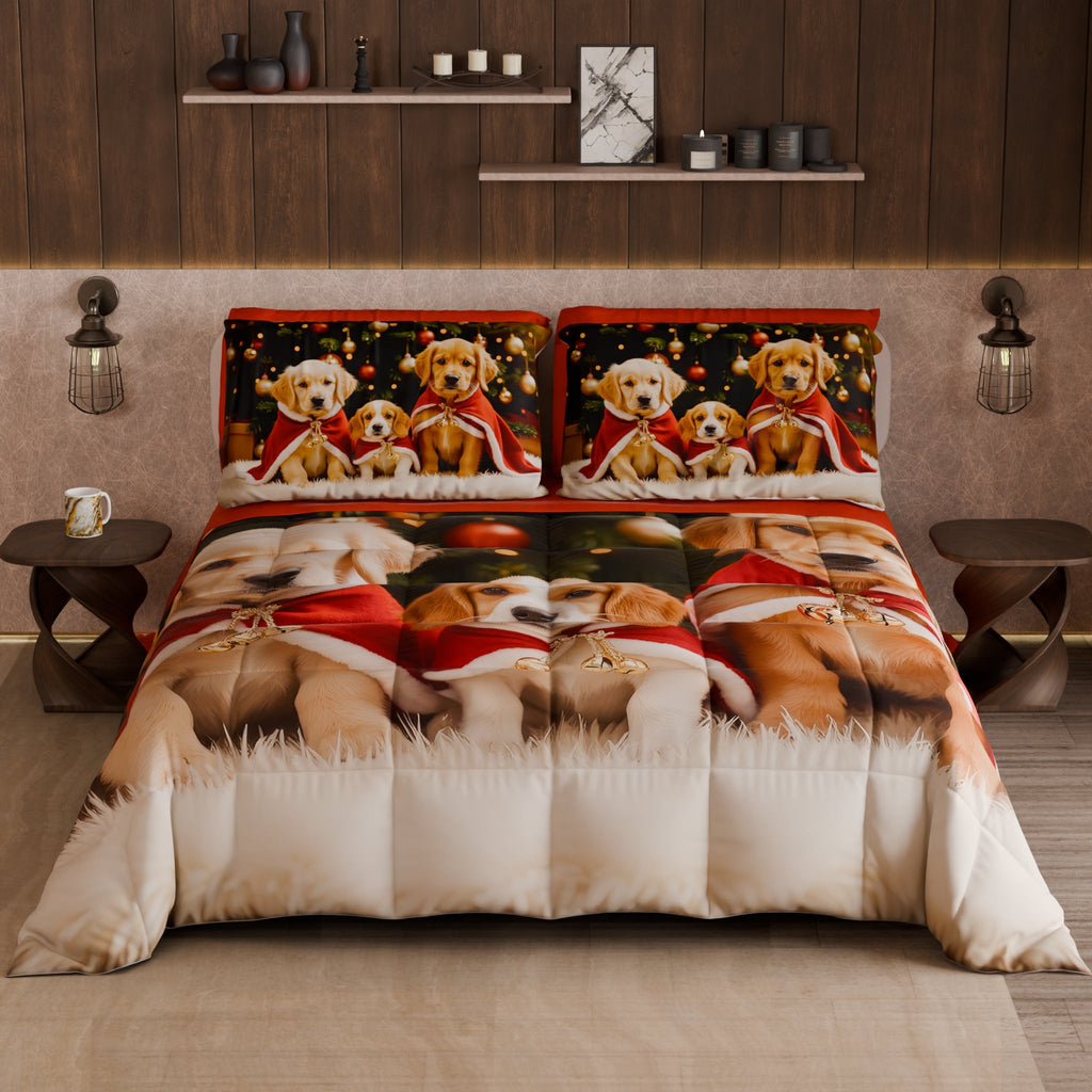 Piumone, Trapunta Matrimoniale, Singola, Piazza e Mezza 25 Xmas 18